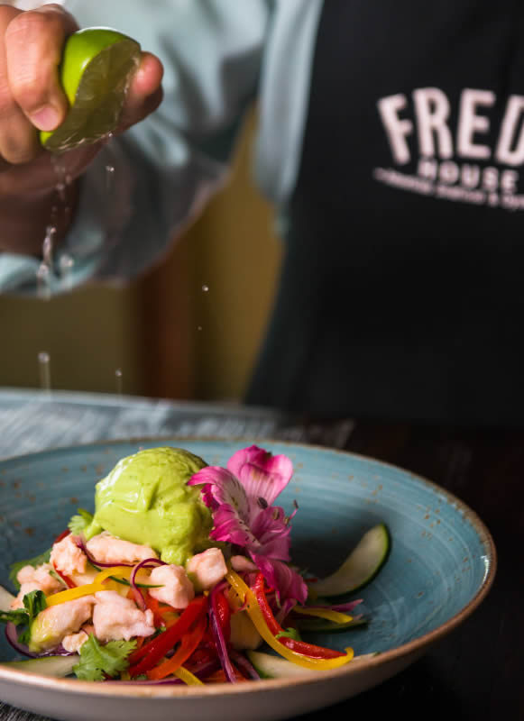 Programacion Freds House